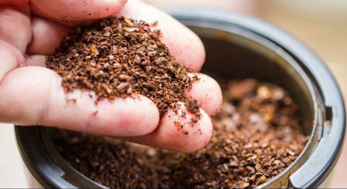 Cientistas Transformam Borras de Café em Betão 30% Mais Resistente