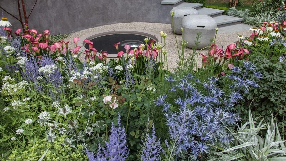 Como Substituir os Crisântemos e Manter o Jardim Colorido no Outono com 4 Plantas Perenes