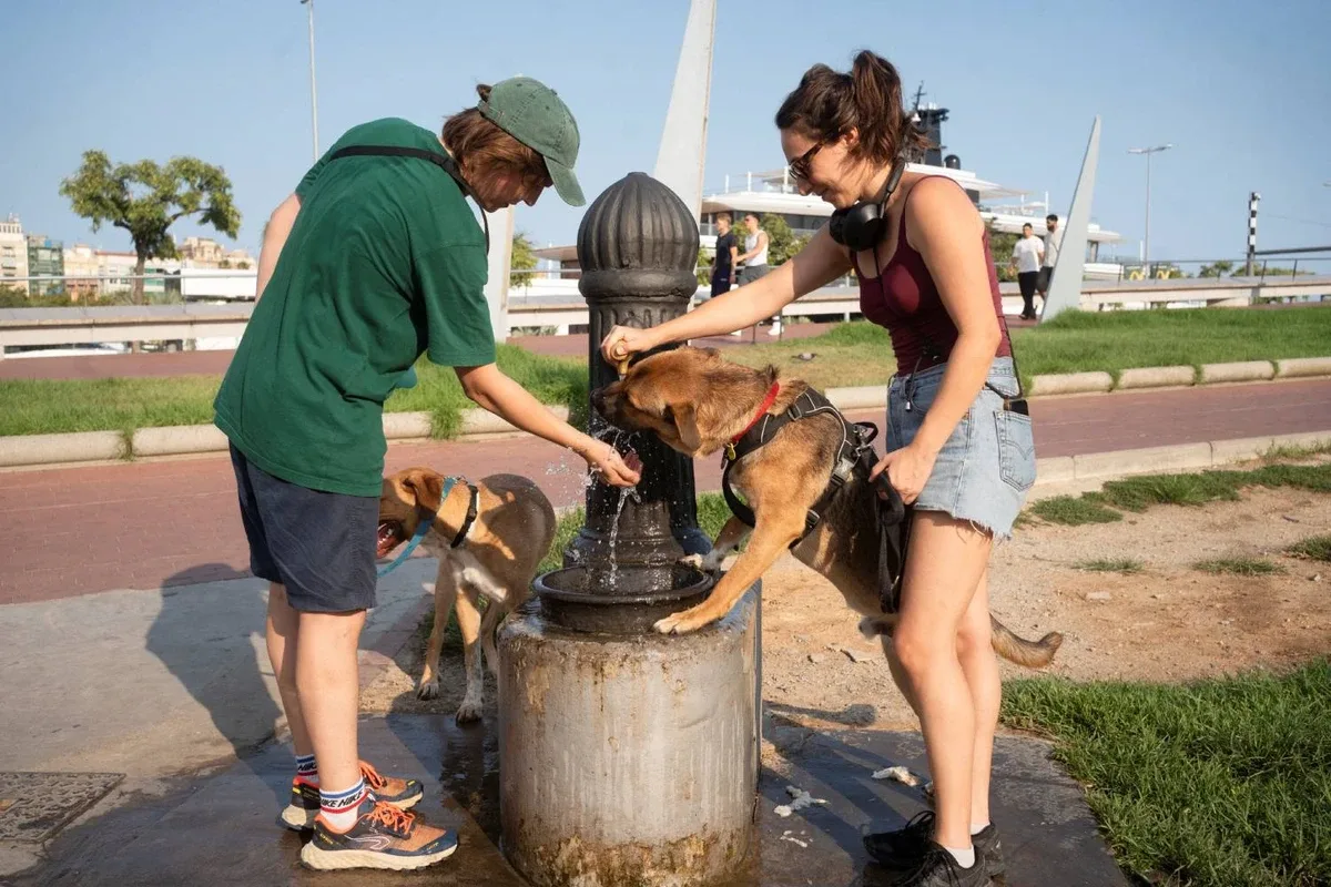 Europa regista pelo menos 35 mil mortes em excesso após vagas de calor recorde