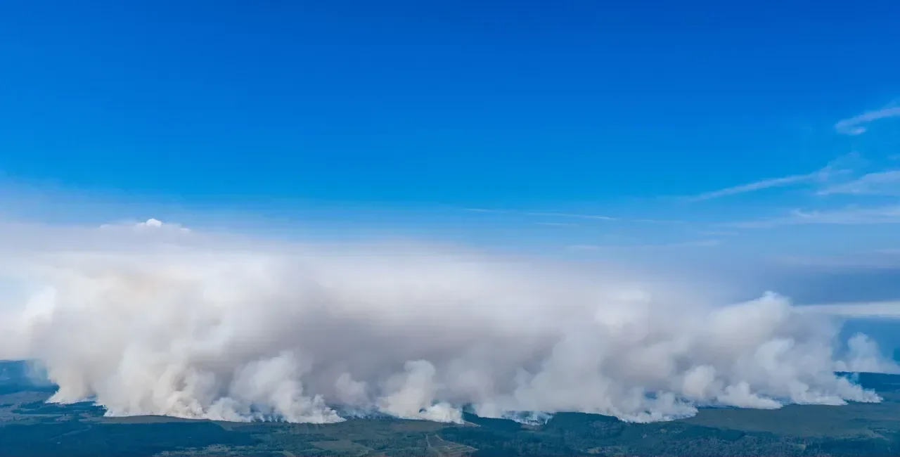 Incêndio Devasta 3.000 Hectares num dos Maiores Parques Naturais da Bélgica