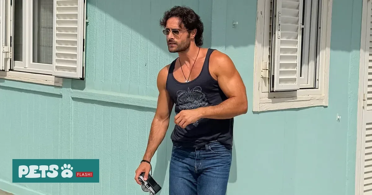 Isaac Alfaiate Transforma Aspirador em Acessório de "Grooming" Para Cães