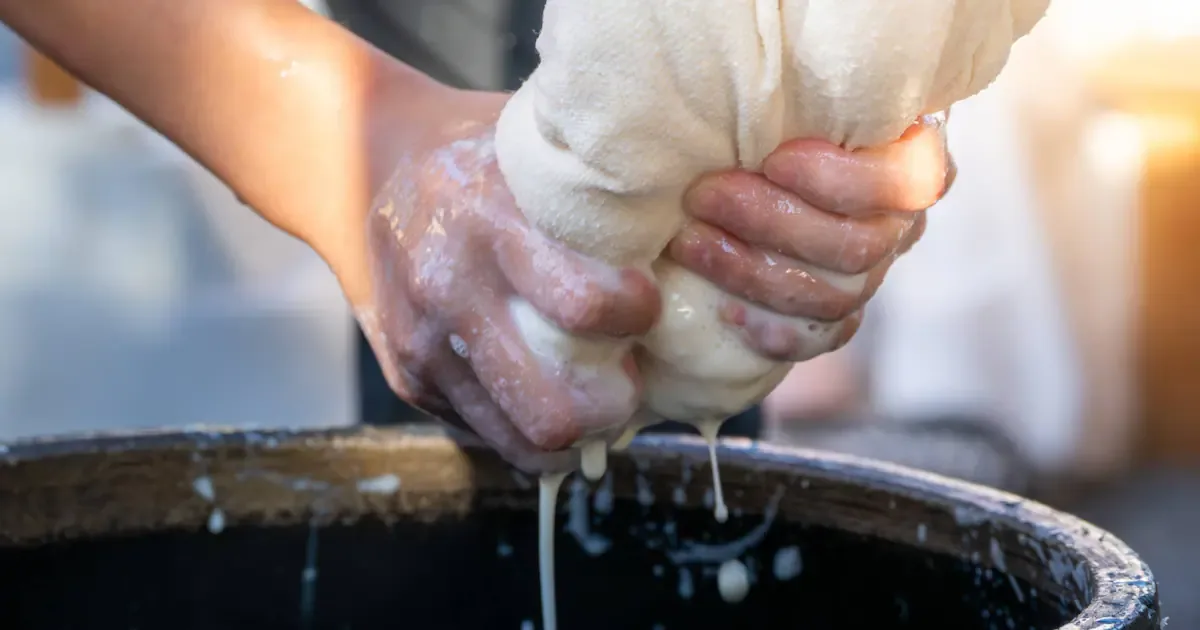 O Guia Definitivo Para Fazer Leite e Queijo de Soja em Casa