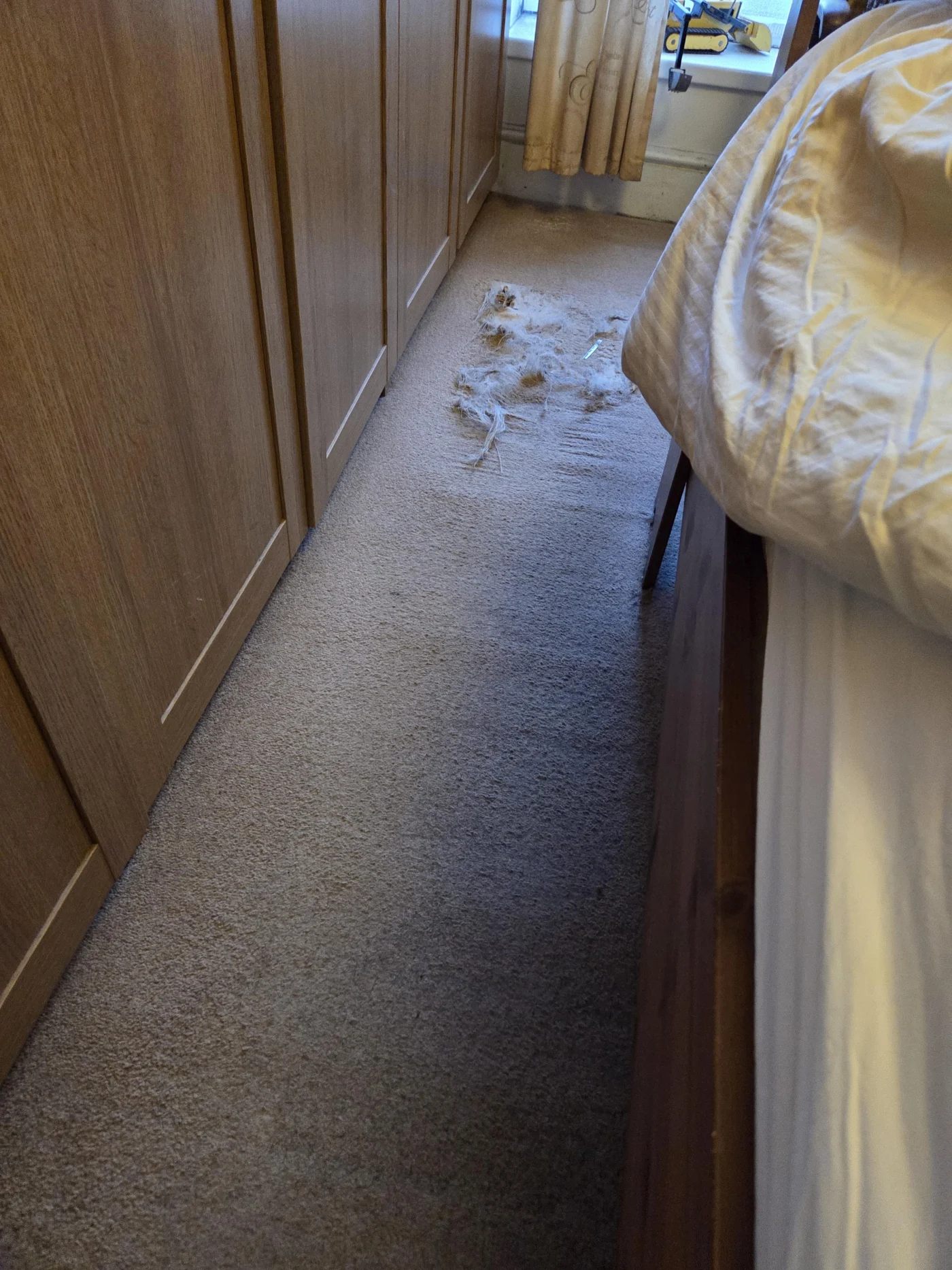 Como Eliminar o Cheiro a Bafio de Uma Casa Fechada Durante Anos