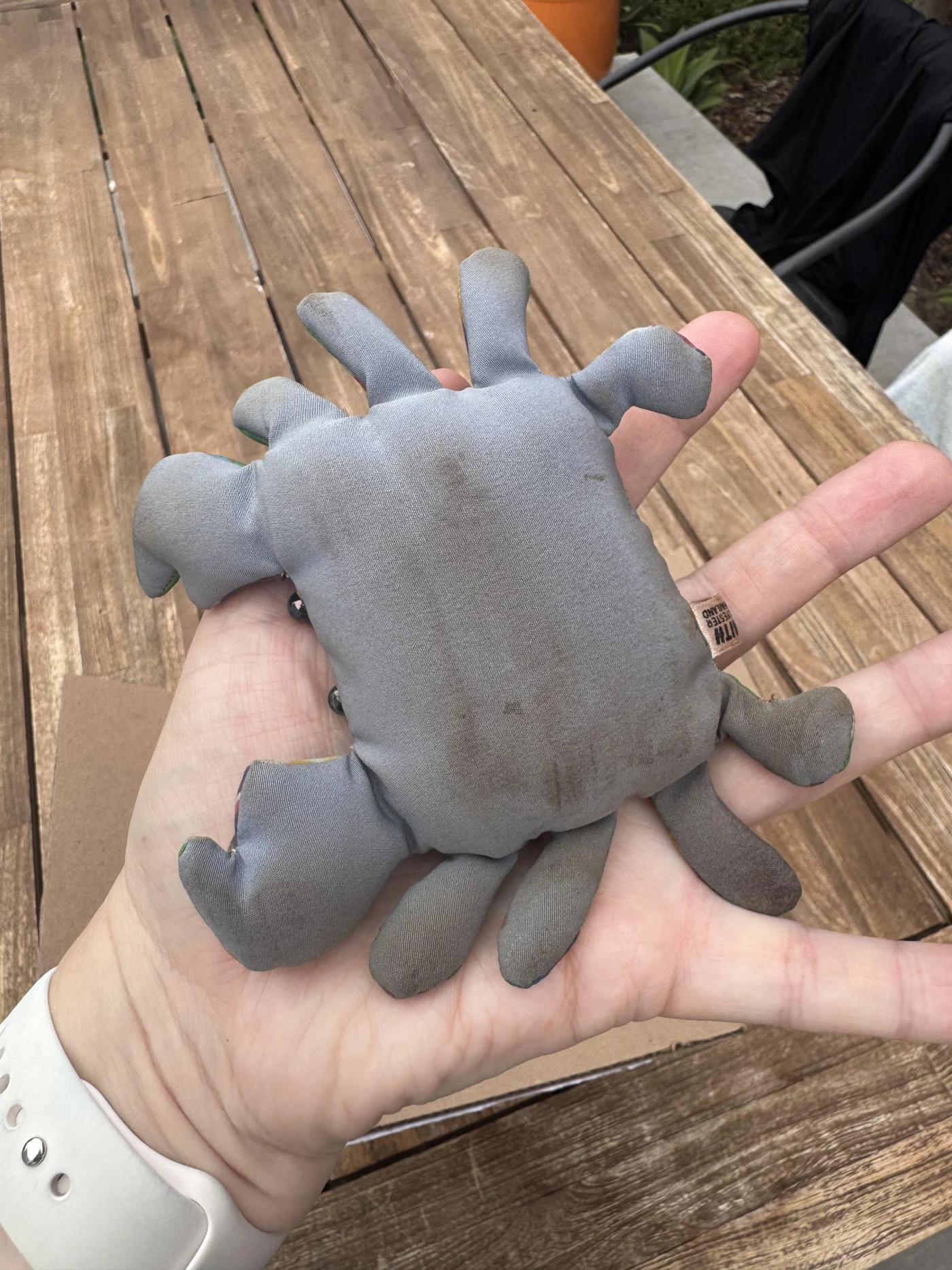 Como Limpar Peluches com Areia: O Método Seguro Contra o Bolor