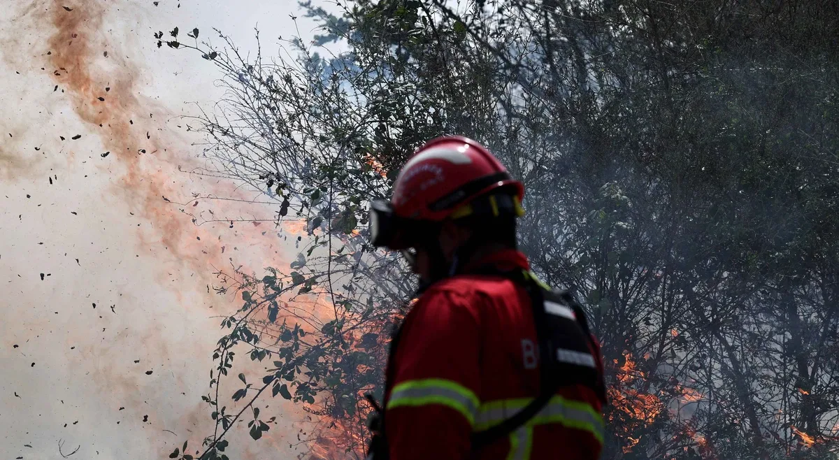 Quatro Incêndios no Norte e Centro: Bombeiros Feridos em Arouca e Lar Evacuado em Tondela