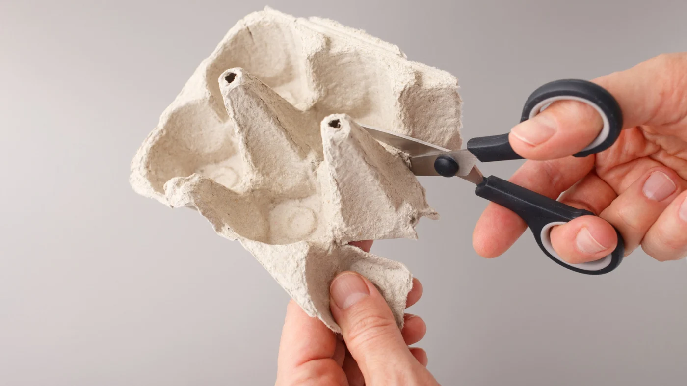 Transforme uma caixa de ovos numa mini jarra decorativa em 4 passos simples