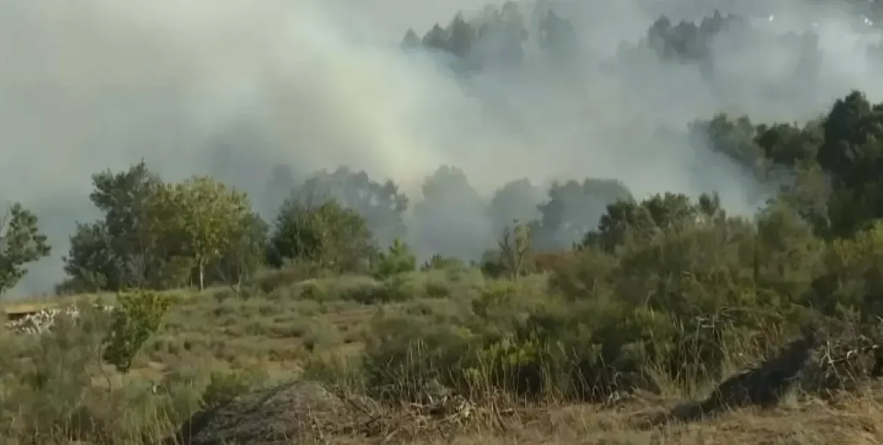 Vento Complica Combate às Chamas: 179 Operacionais Travam Fogo em Vila Pouca de Aguiar